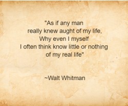 Design 632871 Canvas Prints Image