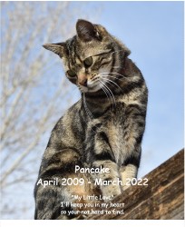 Design 632987 Canvas Prints Image