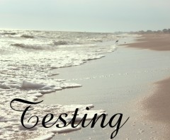 Design 634418 Canvas Prints Image