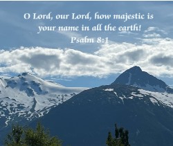 Design 636790 Canvas Prints Image