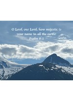 Design 636795 Canvas Prints Image