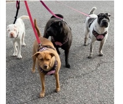 Design 640802 Canvas Prints Image