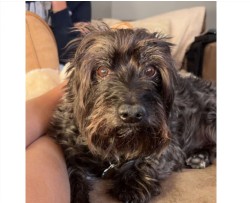 Design 643192 Canvas Prints Image