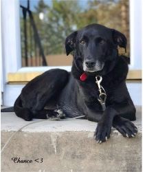 Design 643716 Canvas Prints Image