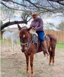 Design 644834 Canvas Prints Image