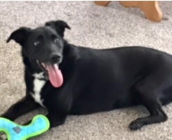 Design 644912 Canvas Prints Image