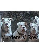 Design 645583 Canvas Prints Image