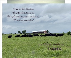 Design 646164 Canvas Prints Image