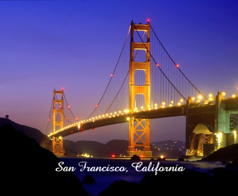 Design 646502 Canvas Prints