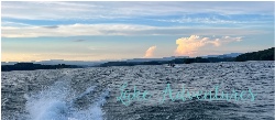 Design 647246 Canvas Prints Image