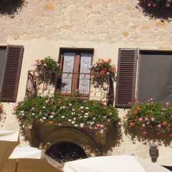 Design 647849 Canvas Prints Image