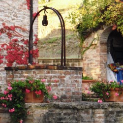 Design 647850 Canvas Prints Image