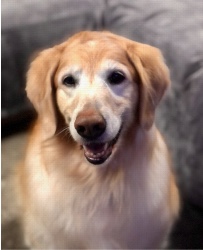 Design 649570 Canvas Prints Image