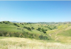 Design 651561 Canvas Prints Image