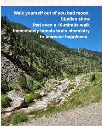 Design 652348 Canvas Prints Image