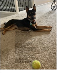 Design 652590 Canvas Prints Image