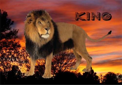 Design 652668 Canvas Prints