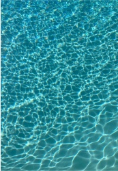 Design 655104 Canvas Prints Image