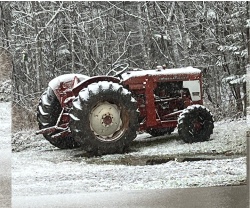 Design 655468 Canvas Prints Image