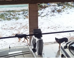 Design 656739 Canvas Prints Image