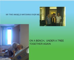 Design 657170 Canvas Prints Image