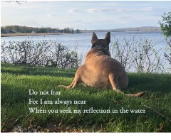 Design 657491 Canvas Prints Image