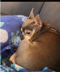 Design 657787 Canvas Prints Image