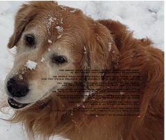 Design 659277 Canvas Prints Image