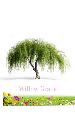 Design 659511 Canvas Prints Image