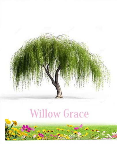 Design 659511 Canvas Prints