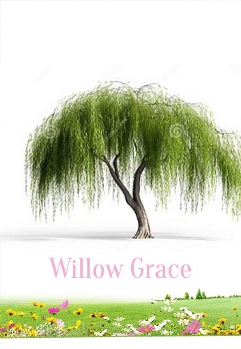 Design 659513 Canvas Prints