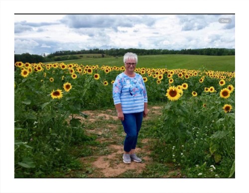 Design 660713 Canvas Prints