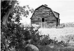 Design 661628 Canvas Prints Image