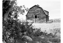 Design 661637 Canvas Prints Image