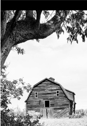 Design 661641 Canvas Prints Image