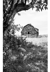 Design 661642 Canvas Prints Image