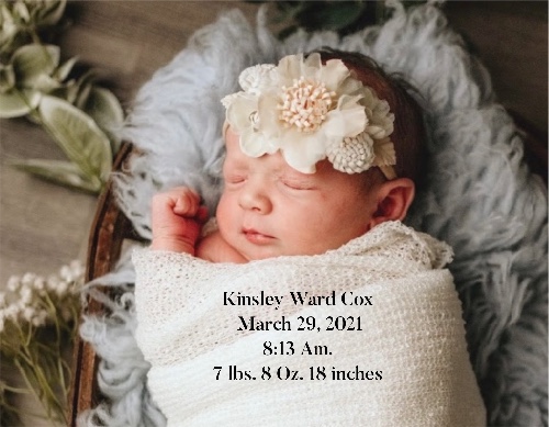 Design 661805 Canvas Prints
