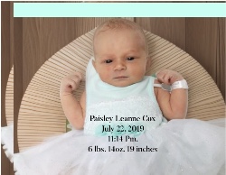 Design 661809 Canvas Prints Image