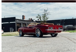 Design 662272 Canvas Prints Image