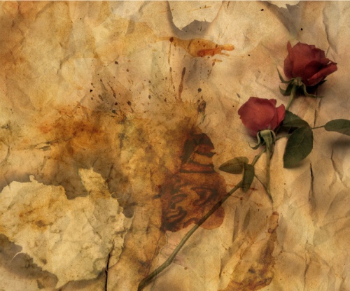 Design 663826 Canvas Prints