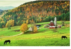 Design 664807 Canvas Prints Image