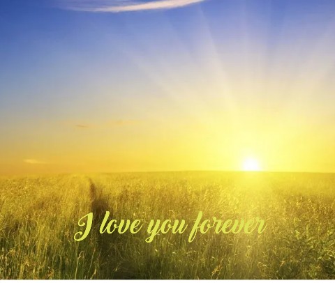 Design 665222 Canvas Prints