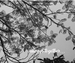 Design 666668 Canvas Prints Image