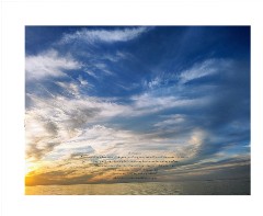 Design 668254 Canvas Prints Image