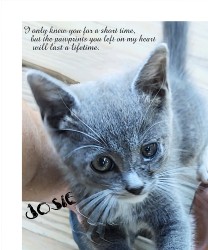 Design 668726 Canvas Prints Image