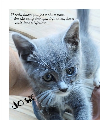 Design 668727 Canvas Prints