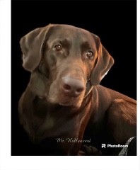 Design 668772 Canvas Prints Image