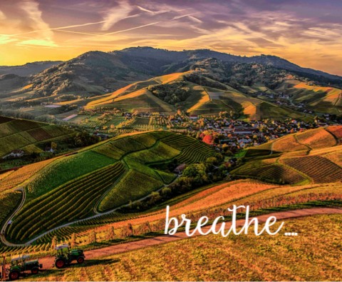 Design 668856 Canvas Prints