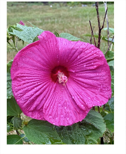 Design 670261 Canvas Prints