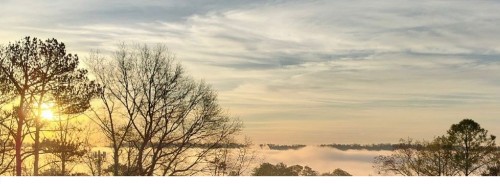 Design 673956 Canvas Prints